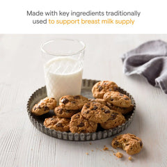 Lactation Cookie Bites, Oatmeal Chocolate Chip, 10ct