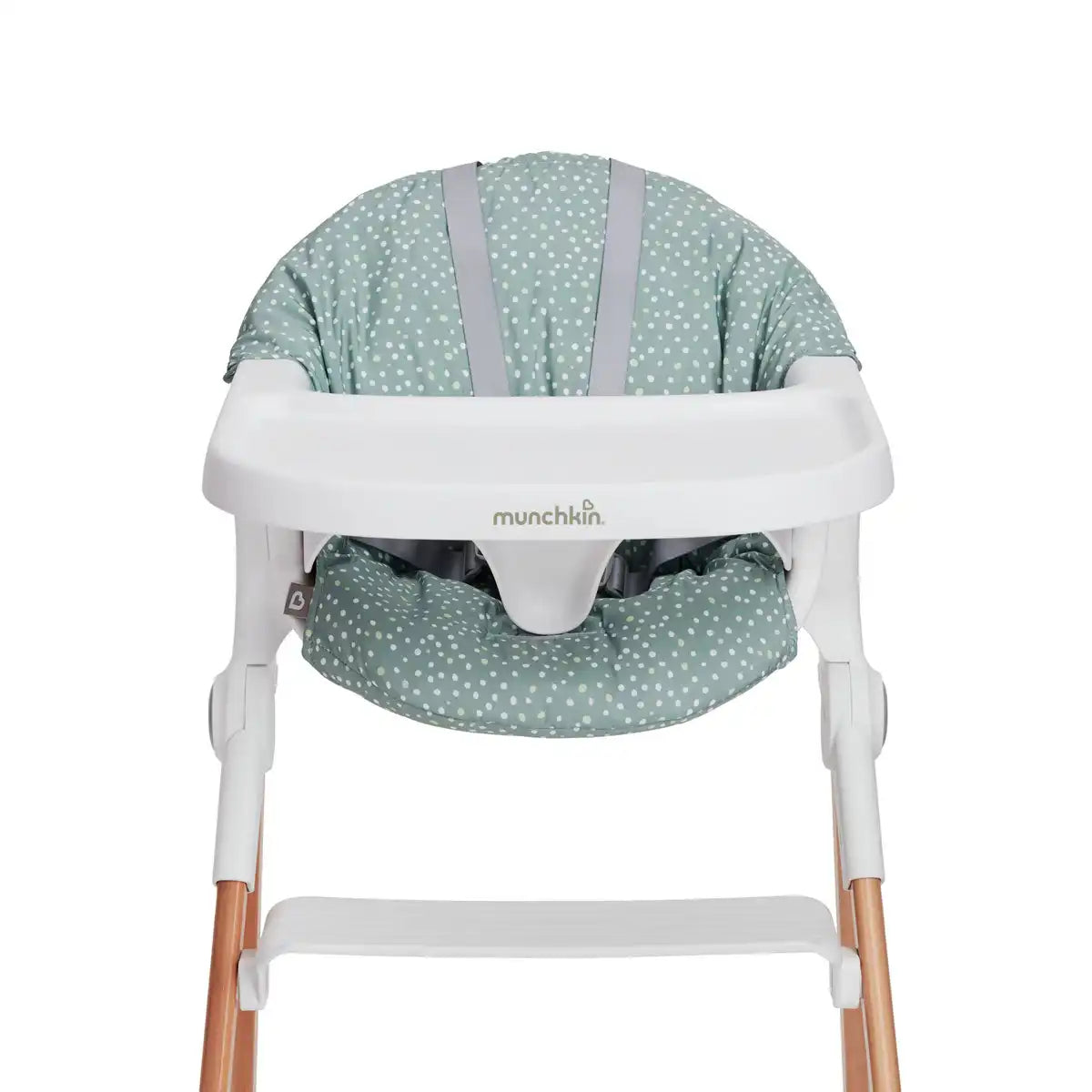 Early Feeding Support Cushion