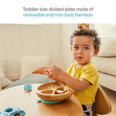 Bambou™ Divided Plate